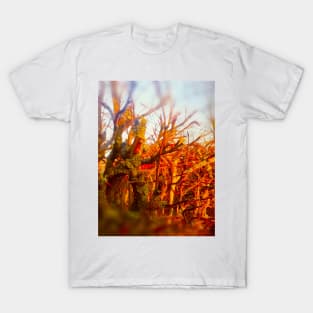 Cozy Autumn Nature Forest Landscape T-Shirt